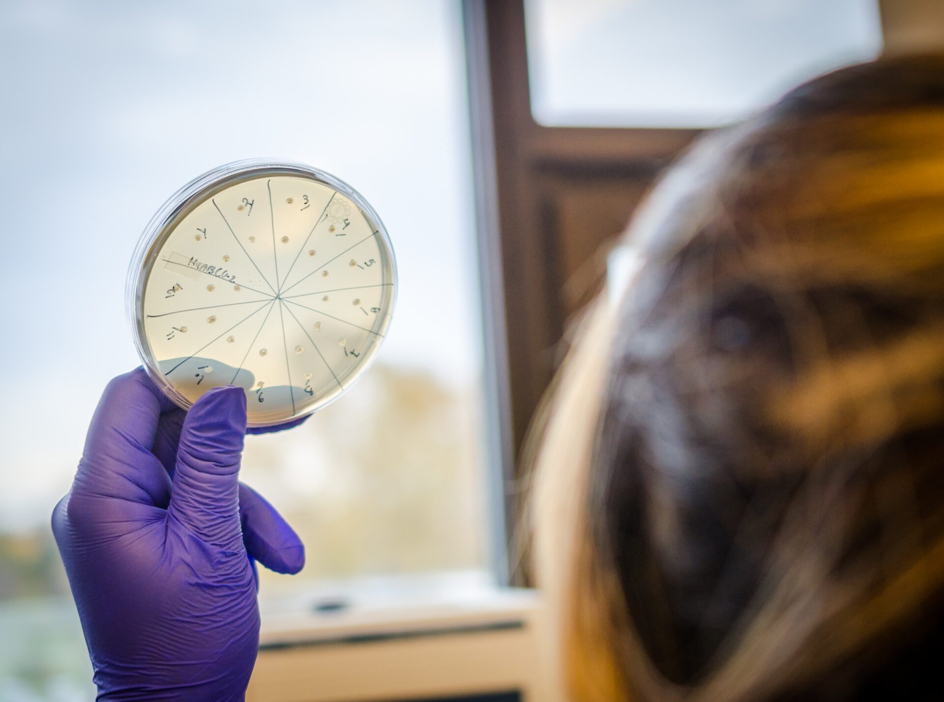 Laboratório Microbiologia e Biologia Molecular